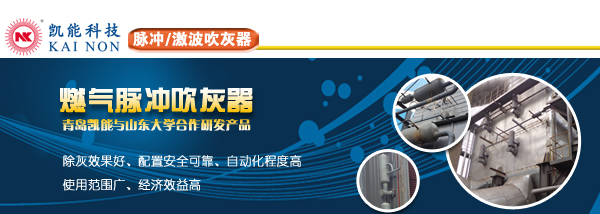 燃氣脈沖吹灰器廠家