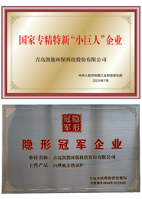 專精特新“小巨人”企業、隱形冠軍企業